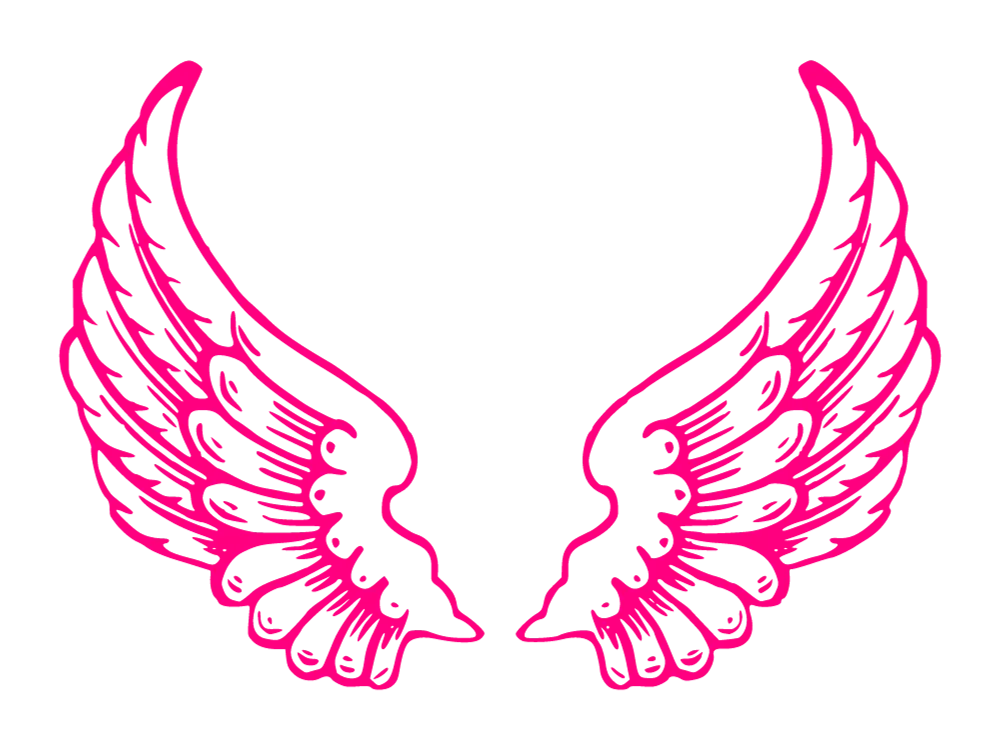 Kumpulan Gambar Sayap Keren Terbagus dan Terlengkap 25 Gambar Sayap Keren