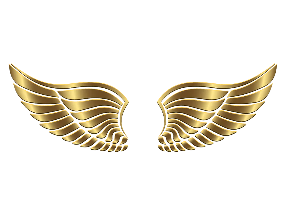 Kumpulan Gambar Sayap Keren Terbagus dan Terlengkap 24 Gambar Sayap Keren