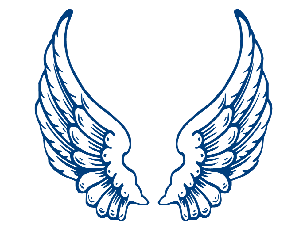 Kumpulan Gambar Sayap Keren Terbagus dan Terlengkap 23 Gambar Sayap Keren