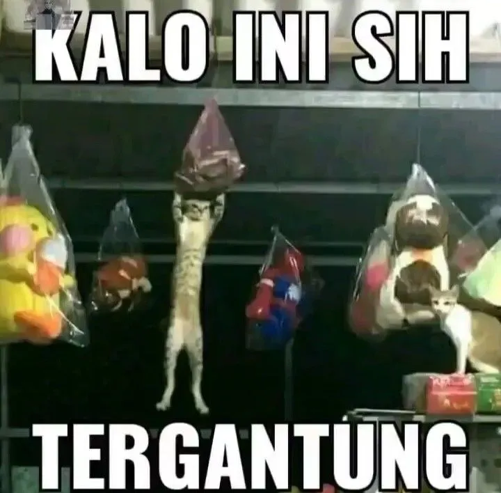 Kumpulan Stiker WA Lucu Ngakak Terbagus dan Terlengkap 3 Stiker WA Lucu Ngakak