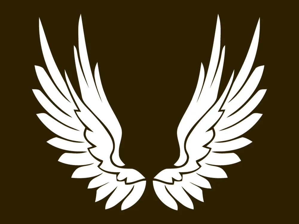 Kumpulan Gambar Sayap Keren Terbagus dan Terlengkap 31 gambar sayap keren