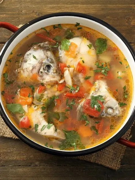 Kumpulan Gambar Ikan Gurame Terbagus dan Terlengkap 18 Gambar Ikan Gurame