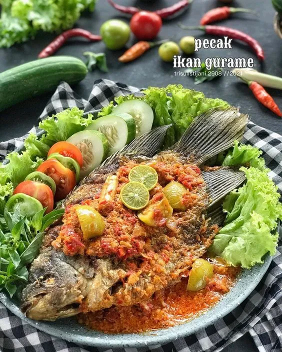 Kumpulan Gambar Ikan Gurame Terbagus dan Terlengkap 16 Gambar Ikan Gurame