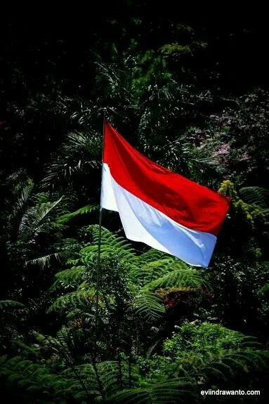 Kumpulan Wallpaper Bendera Indonesia Terbagus dan Terlengkap 22 Wallpaper Bendera Indonesia