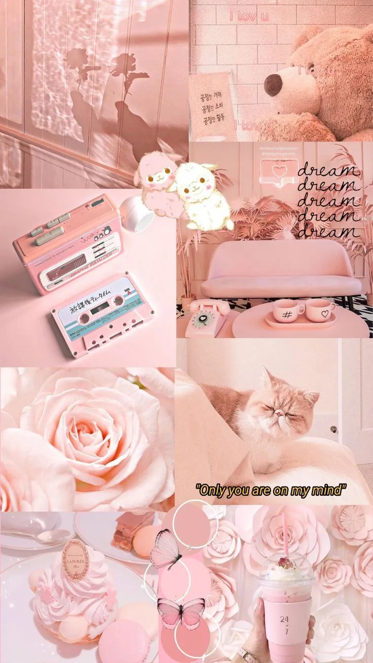 Kumpulan Wallpaper Warna Pink Terbagus dan Terlengkap 29 Wallpaper Warna Pink