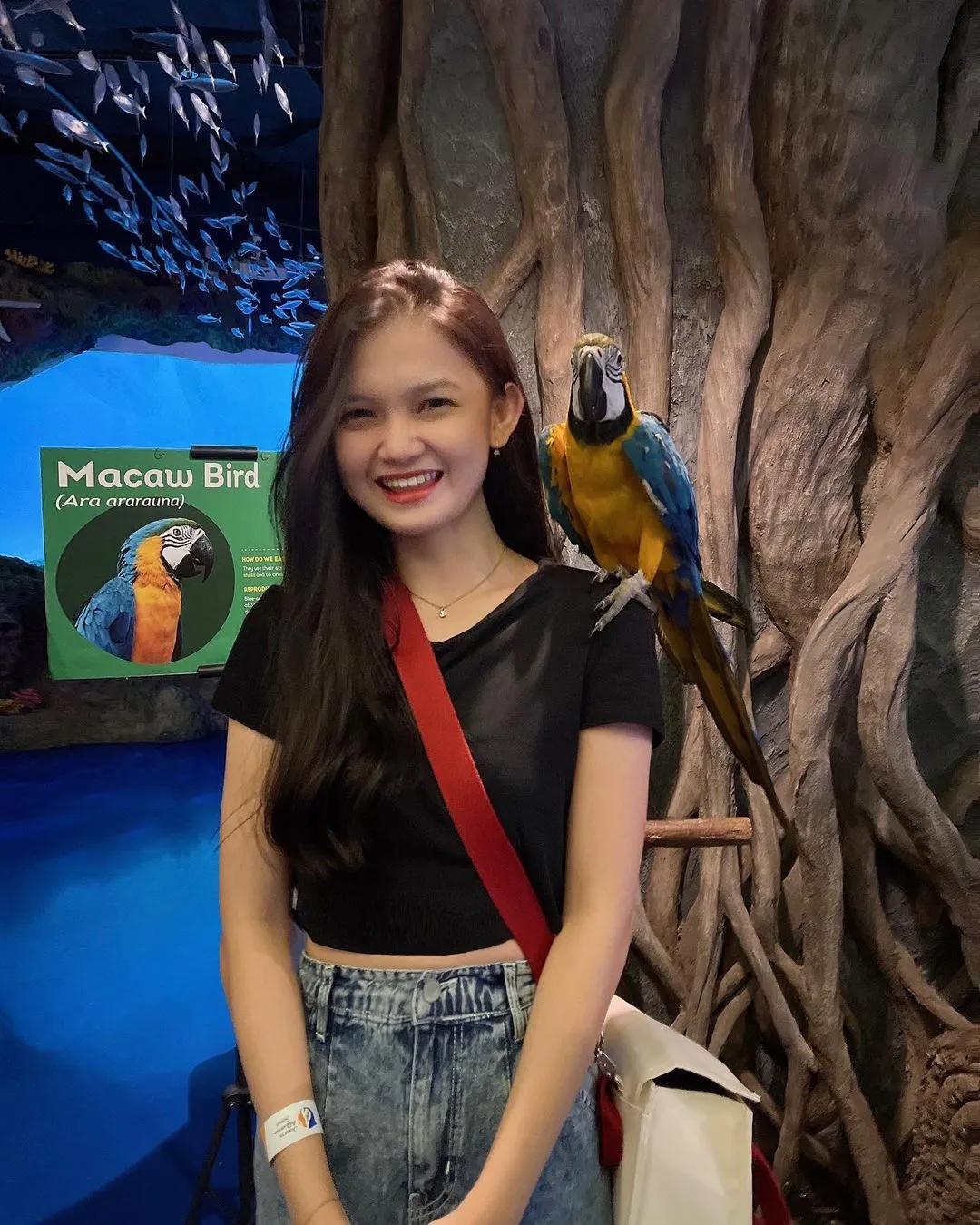 Kumpulan Foto Indah Jkt48 Paling Cantik dan Terlengkap 20 Foto Indah Jkt48