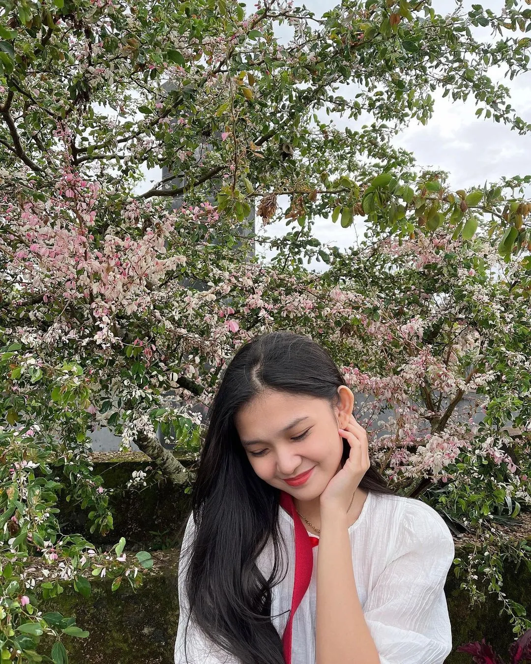 Kumpulan Foto Indah Jkt48 Paling Cantik dan Terlengkap 22 Foto Indah Jkt48