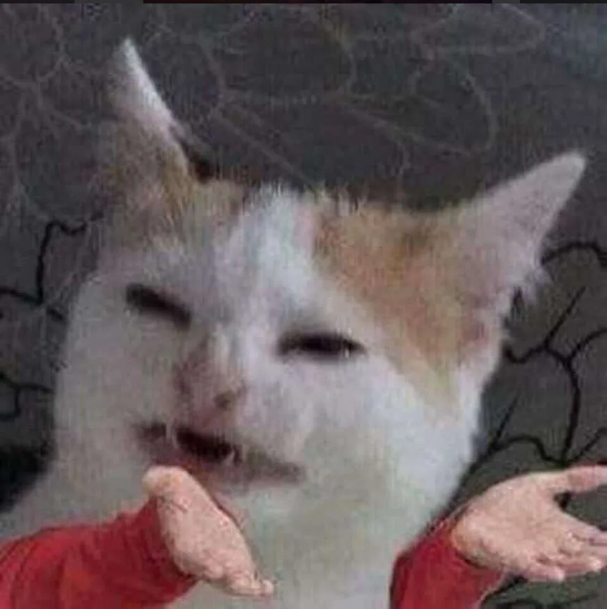 Kumpulan Foto Kucing Meme Paling Lucu Terbagus dan Terlengkap 5 Foto Kucing Meme