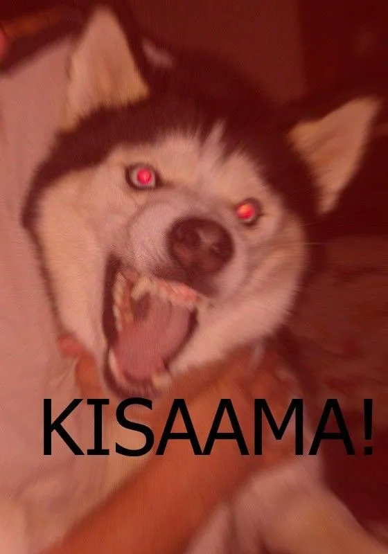 Kumpulan Foto Wibu Paling Gokil dan Kocak Terlengkap 10 Foto Wibu