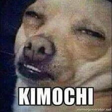 Kumpulan Foto Wibu Paling Gokil dan Kocak Terlengkap 5 Foto Wibu