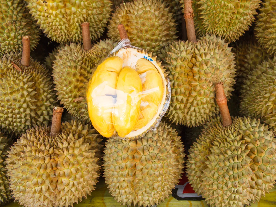 Kumpulan Foto Durian Paling Mantap Terbagus dan Terlengkap 19 Foto Durian