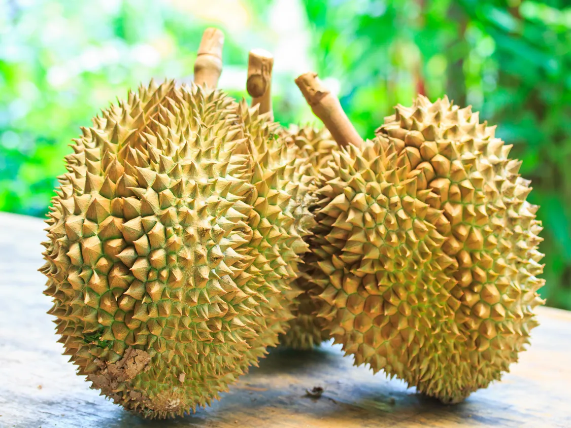 Kumpulan Foto Durian Paling Mantap Terbagus dan Terlengkap 17 Foto Durian