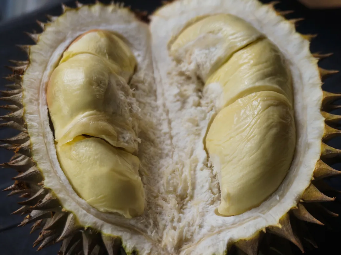 Kumpulan Foto Durian Paling Mantap Terbagus dan Terlengkap 30 Foto Durian