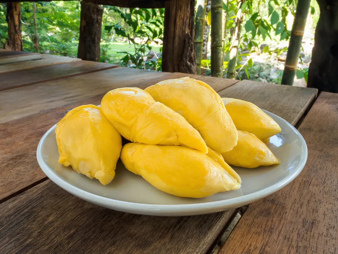 Kumpulan Foto Durian Paling Mantap Terbagus dan Terlengkap 11 Foto Durian