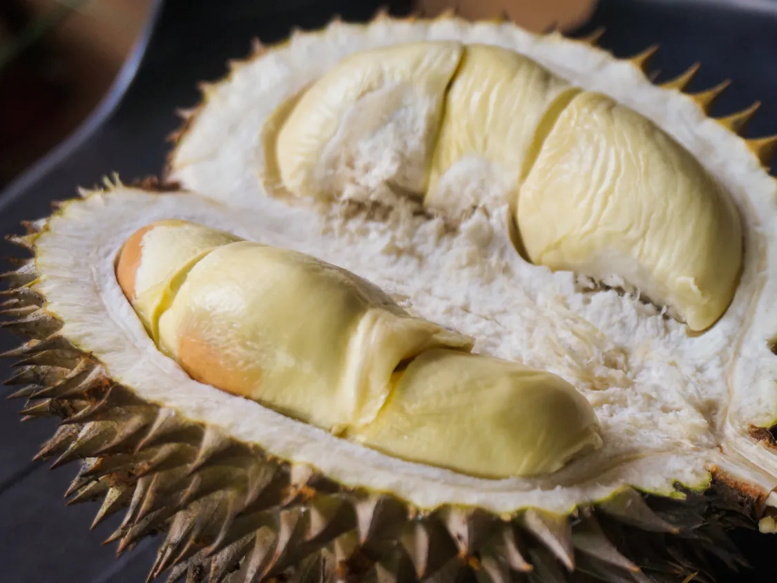 Kumpulan Foto Durian Paling Mantap Terbagus dan Terlengkap 6 Foto Durian