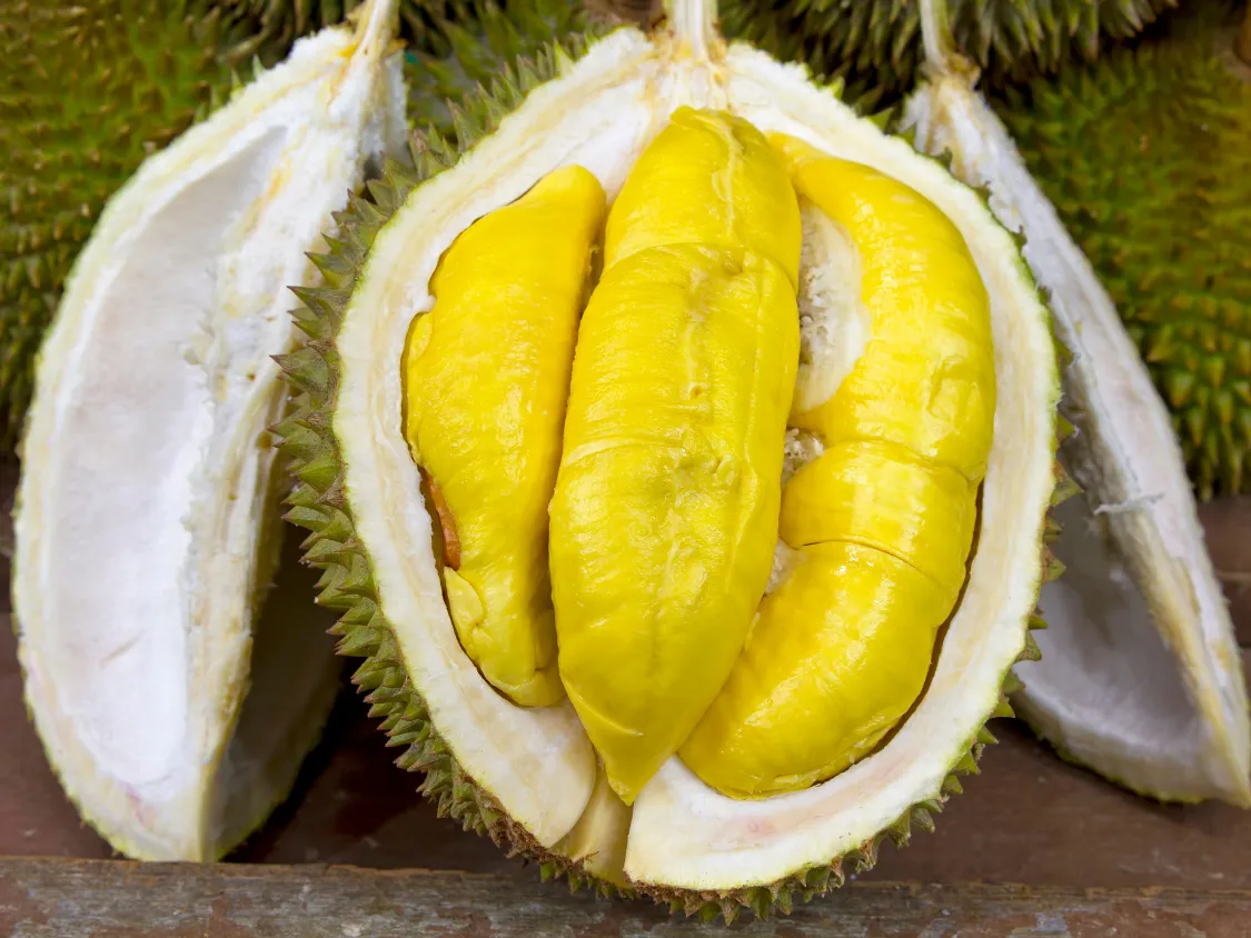 Kumpulan Foto Durian Paling Mantap Terbagus dan Terlengkap 5 Foto Durian