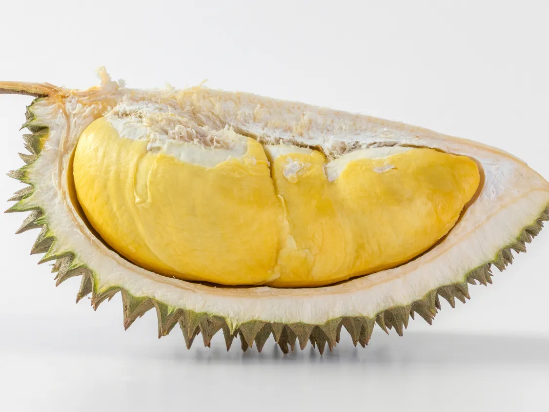 Kumpulan Foto Durian Paling Mantap Terbagus dan Terlengkap 4 Foto Durian