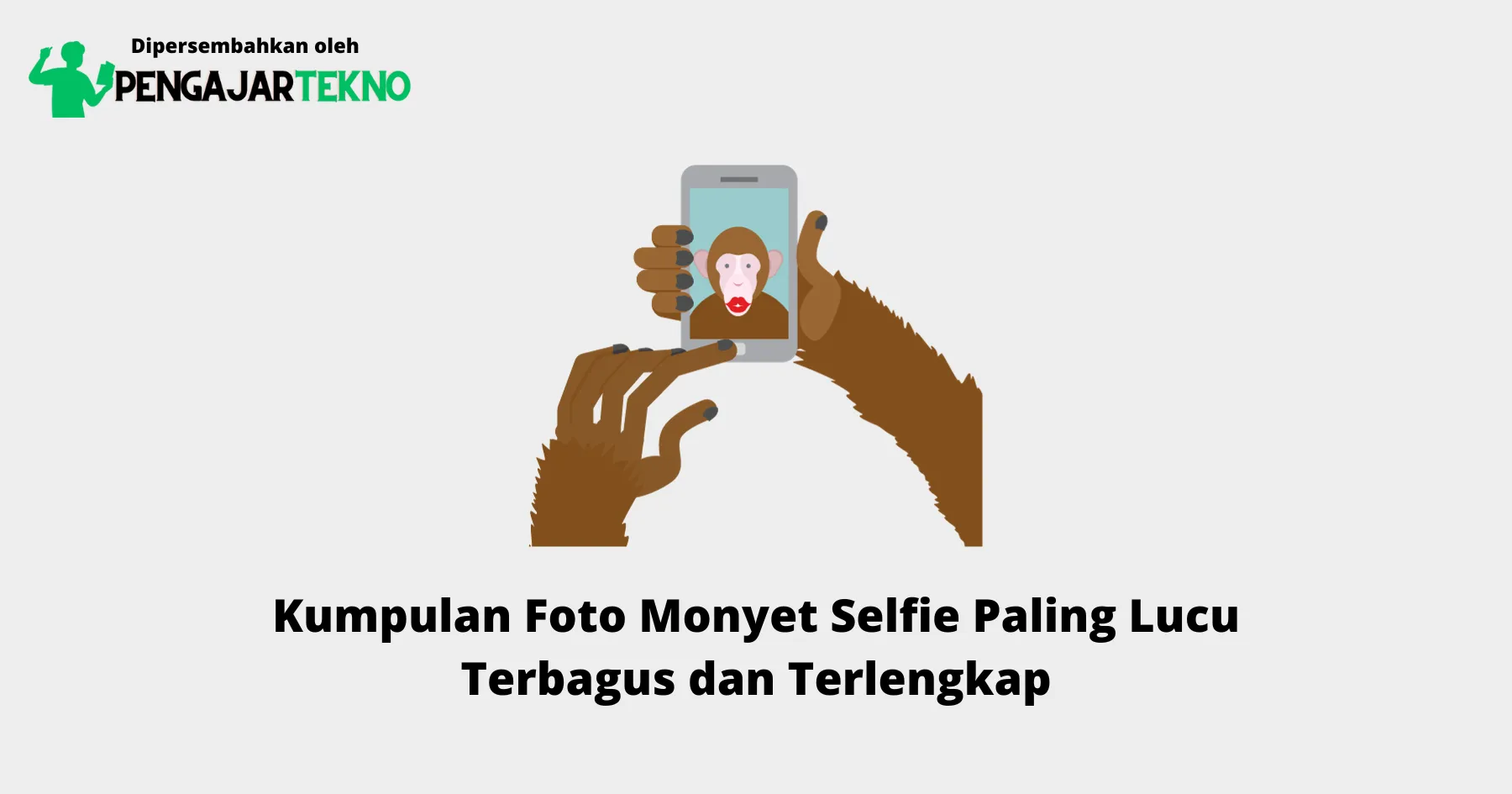 Foto Monyet Selfie