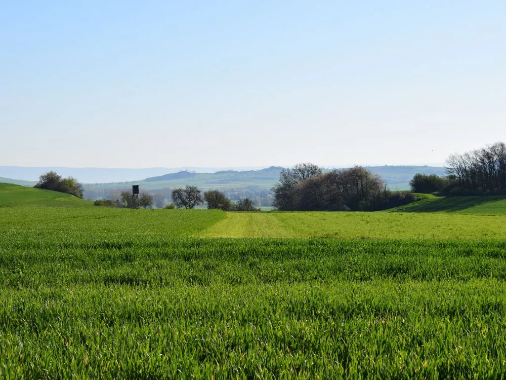 Kumpulan Foto Sawah Paling Indah Terbagus dan Terlengkap 16 Foto Sawah