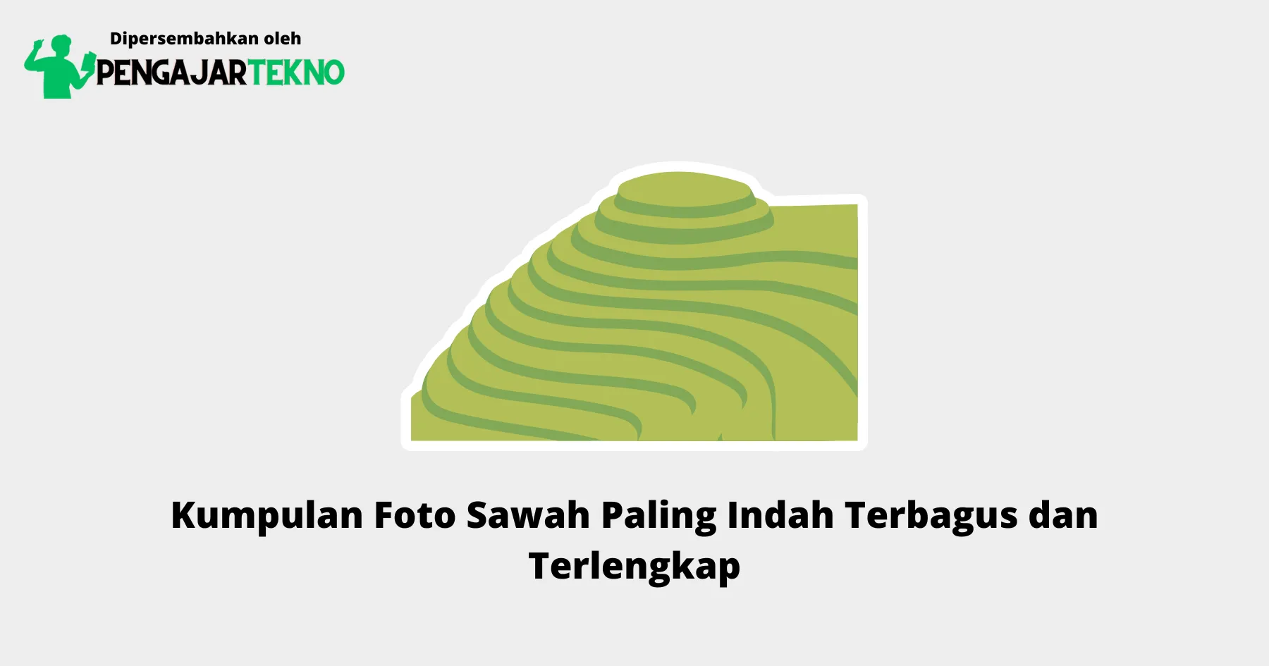 Foto Sawah
