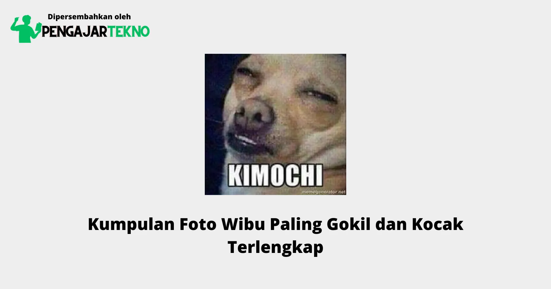 Foto Wibu