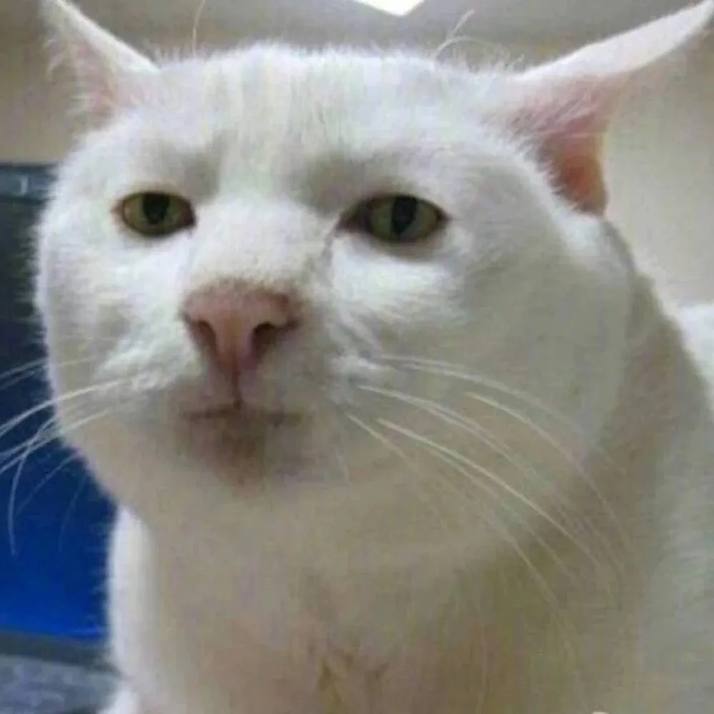 Kumpulan DP WA Lucu Paling Ngakak Terbagus dan Terlengkap 9 DP WA Lucu