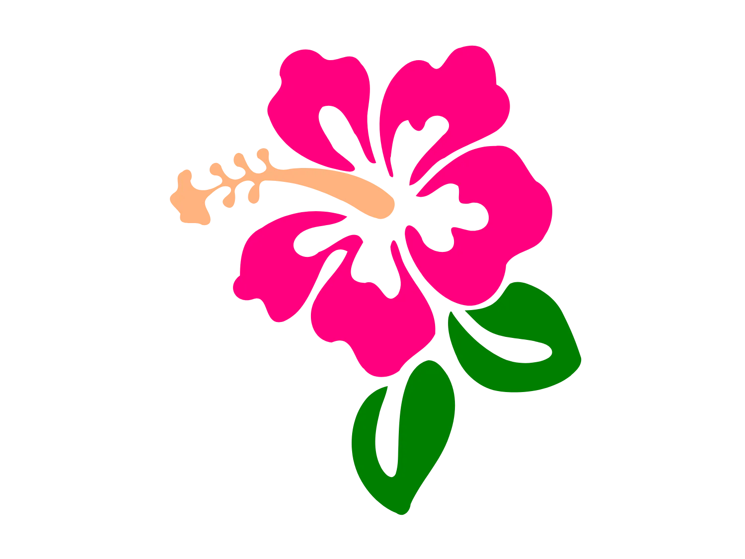 Kumpulan Gambar Bunga Sepatu Terbagus dan Terlengkap 23 Gambar Bunga Sepatu