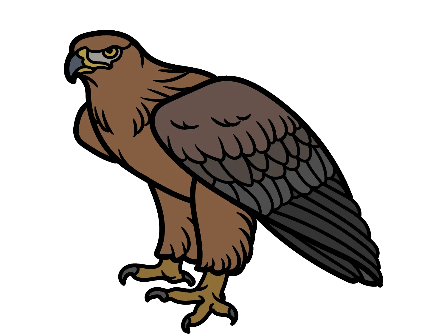 Kumpulan Gambar Burung Elang Paling Bagus dan Terlengkap 20 Gambar Burung Elang