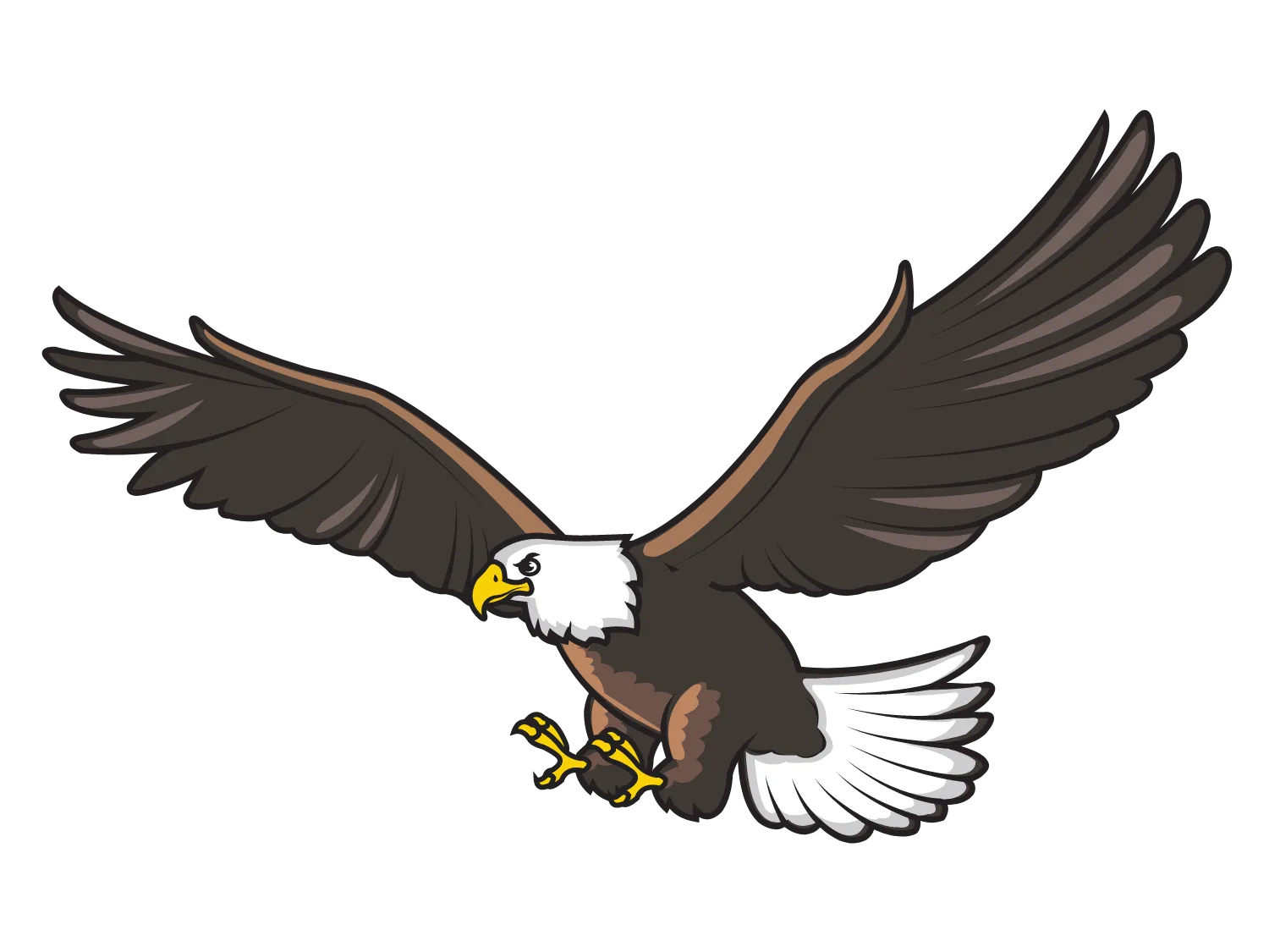 Kumpulan Gambar Burung Elang Paling Bagus dan Terlengkap 27 Gambar Burung Elang