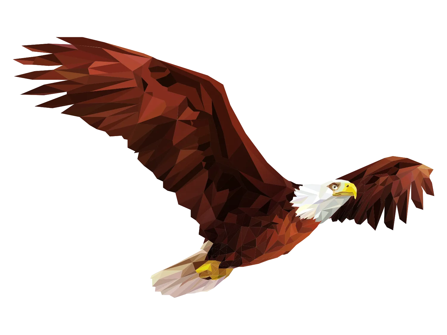 Kumpulan Gambar Burung Elang Paling Bagus dan Terlengkap 23 Gambar Burung Elang