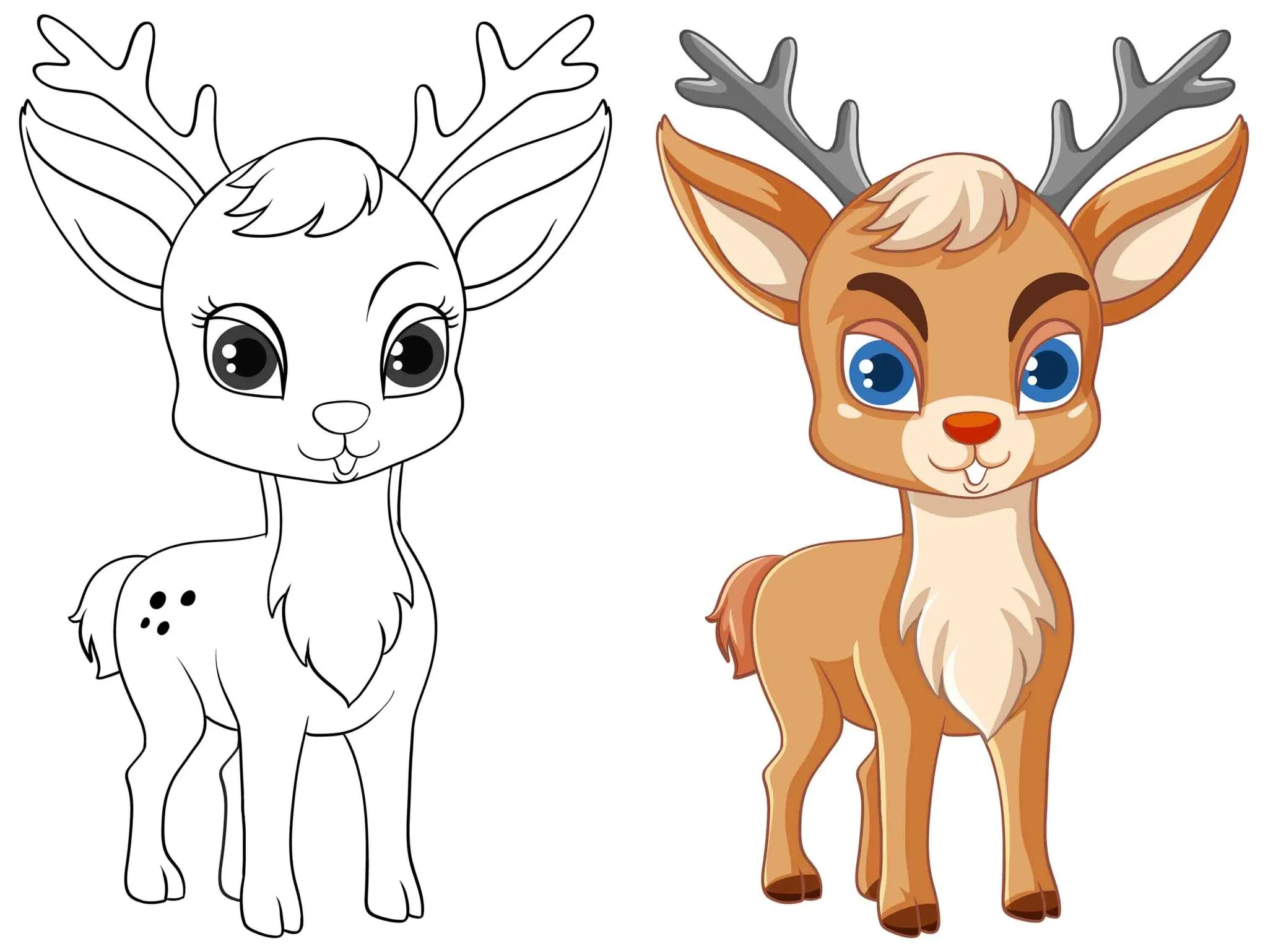 Kumpulan Gambar Mewarnai Hewan dan Contoh Warnanya Terlengkap 4 Gambar Mewarnai Hewan dan Contoh Warnanya