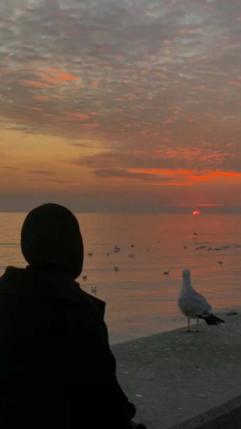 Kumpulan Gambar Wanita Berhijab Dari Belakang Galau Terbagus 7 Gambar Wanita Berhijab Dari Belakang Galau