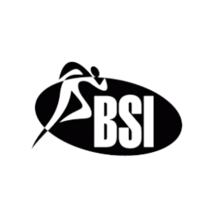 Kumpulan Logo BSI PNG Paling Bagus dan Terlengkap 15 Logo BSI Png