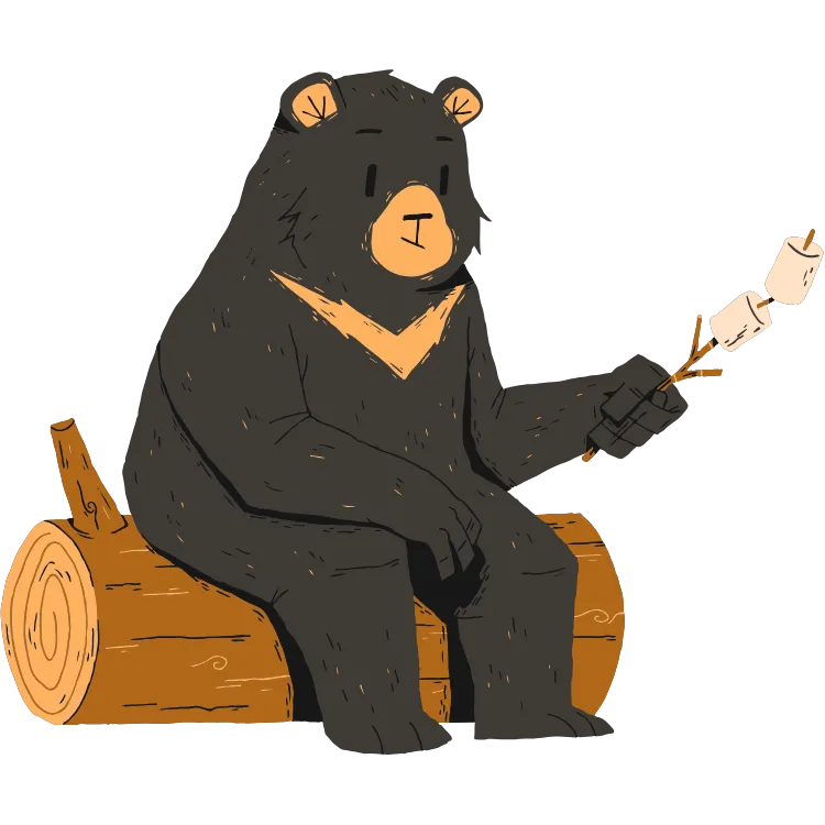 Kumpulan Gambar Beruang Kartun Paling Bagus dan Terlengkap 13 Gambar Beruang Kartun