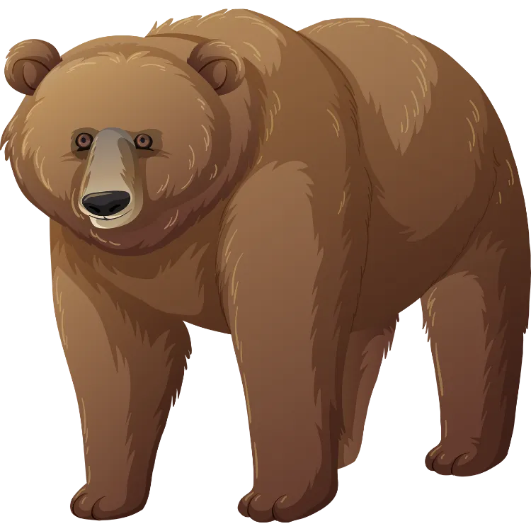 Kumpulan Gambar Beruang Kartun Paling Bagus dan Terlengkap 28 Gambar Beruang Kartun