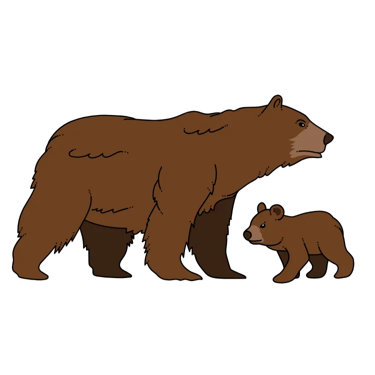 Kumpulan Gambar Beruang Kartun Paling Bagus dan Terlengkap 9 Gambar Beruang Kartun