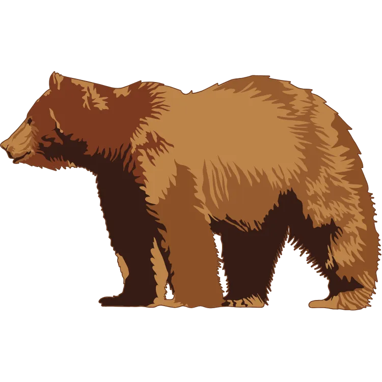 Kumpulan Gambar Beruang Kartun Paling Bagus dan Terlengkap 2 Gambar Beruang Kartun