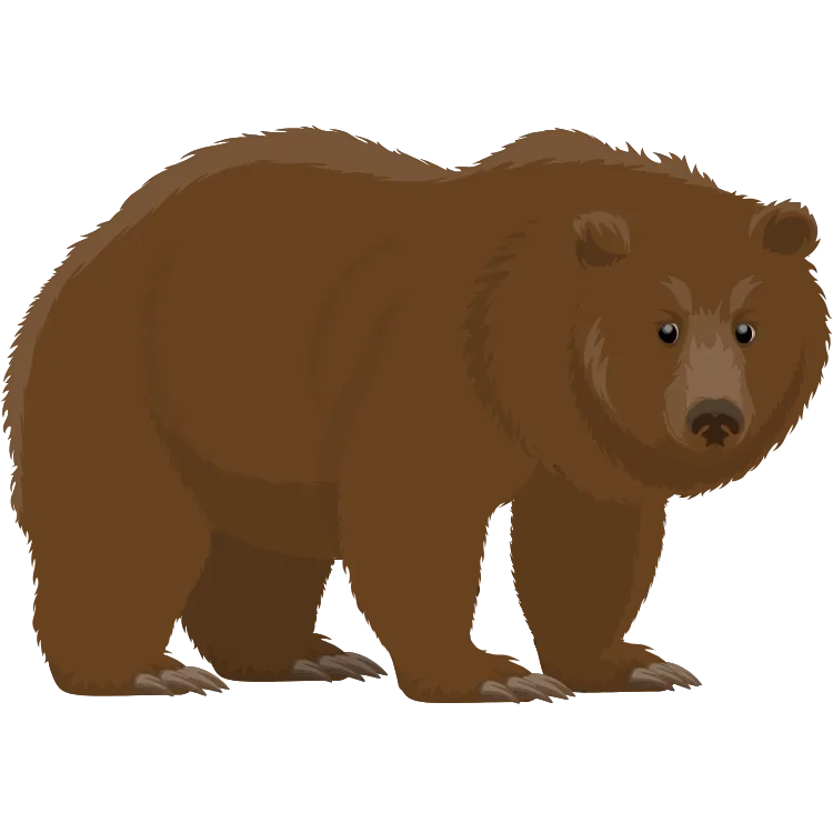 Kumpulan Gambar Beruang Kartun Paling Bagus dan Terlengkap 27 Gambar Beruang Kartun