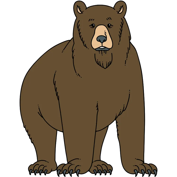 Kumpulan Gambar Beruang Kartun Paling Bagus dan Terlengkap 26 Gambar Beruang Kartun
