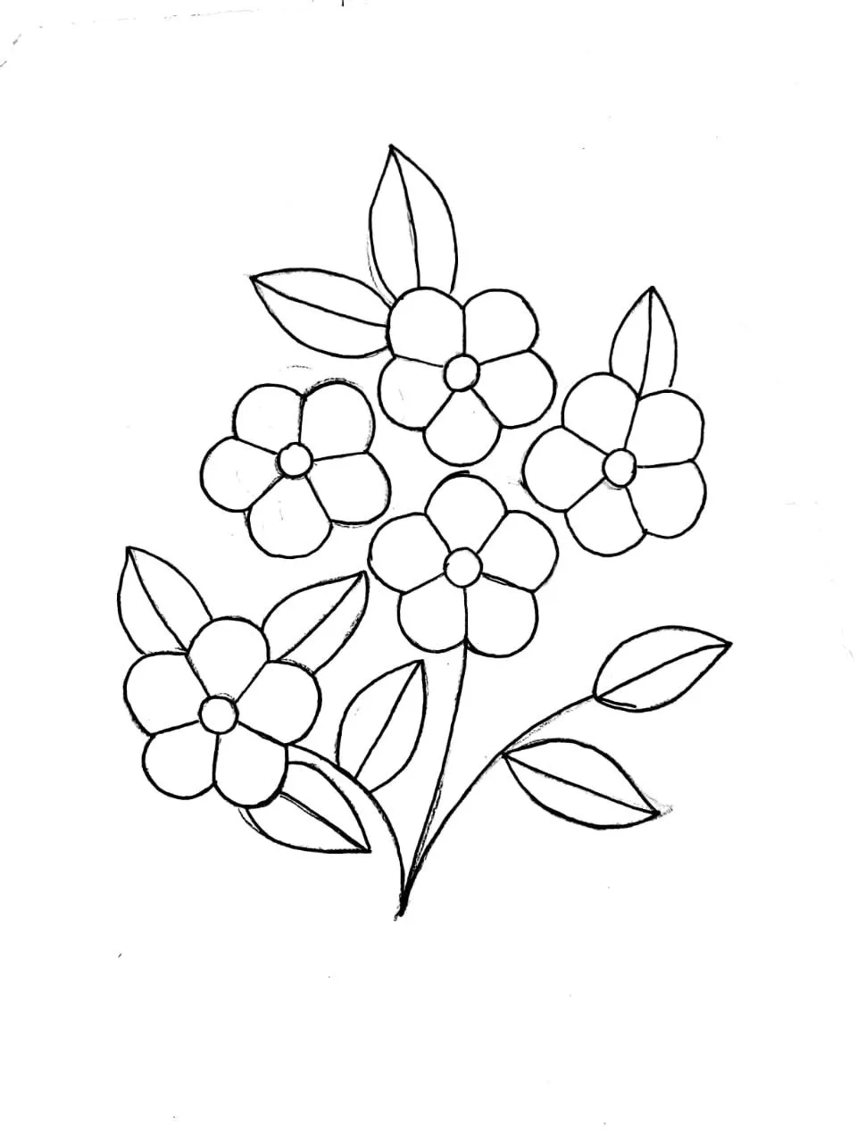 Kumpulan Gambar Bunga Yang Mudah Terbagus dan Terlengkap 19 Gambar Bunga Yang Mudah