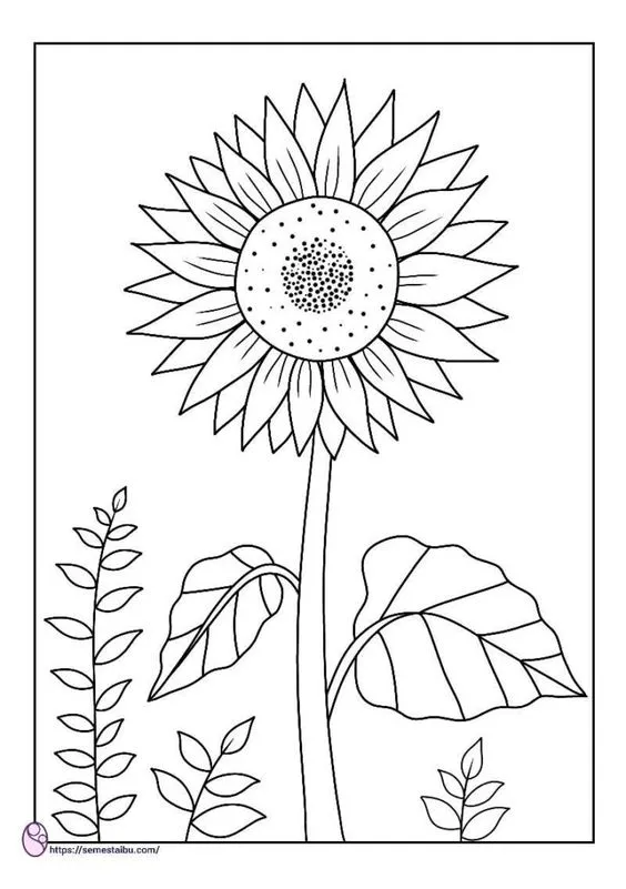 Kumpulan Gambar Bunga Yang Mudah Terbagus dan Terlengkap 8 Gambar Bunga Yang Mudah