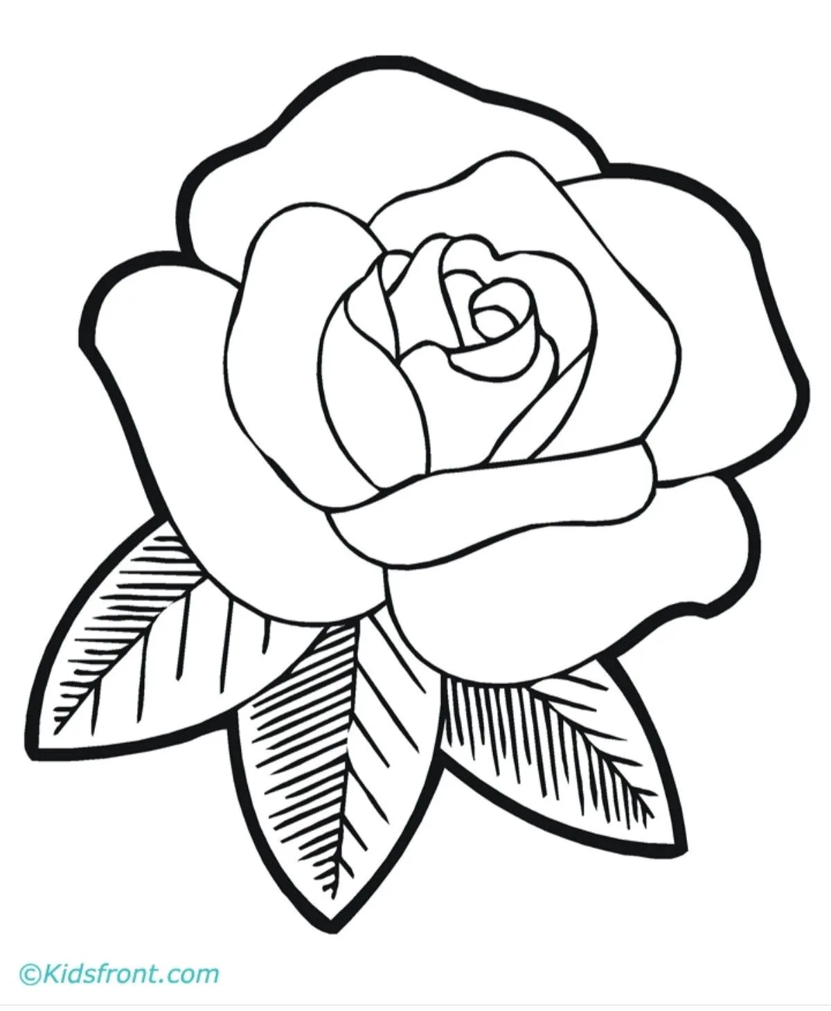 Kumpulan Gambar Bunga Yang Mudah Terbagus dan Terlengkap 2 Gambar Bunga Yang Mudah