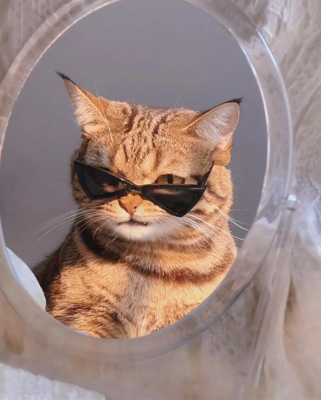 Kumpulan Gambar DP WA Keren Terbaru Terbagus dan Terlengkap 8 Gambar DP WA Keren Terbaru