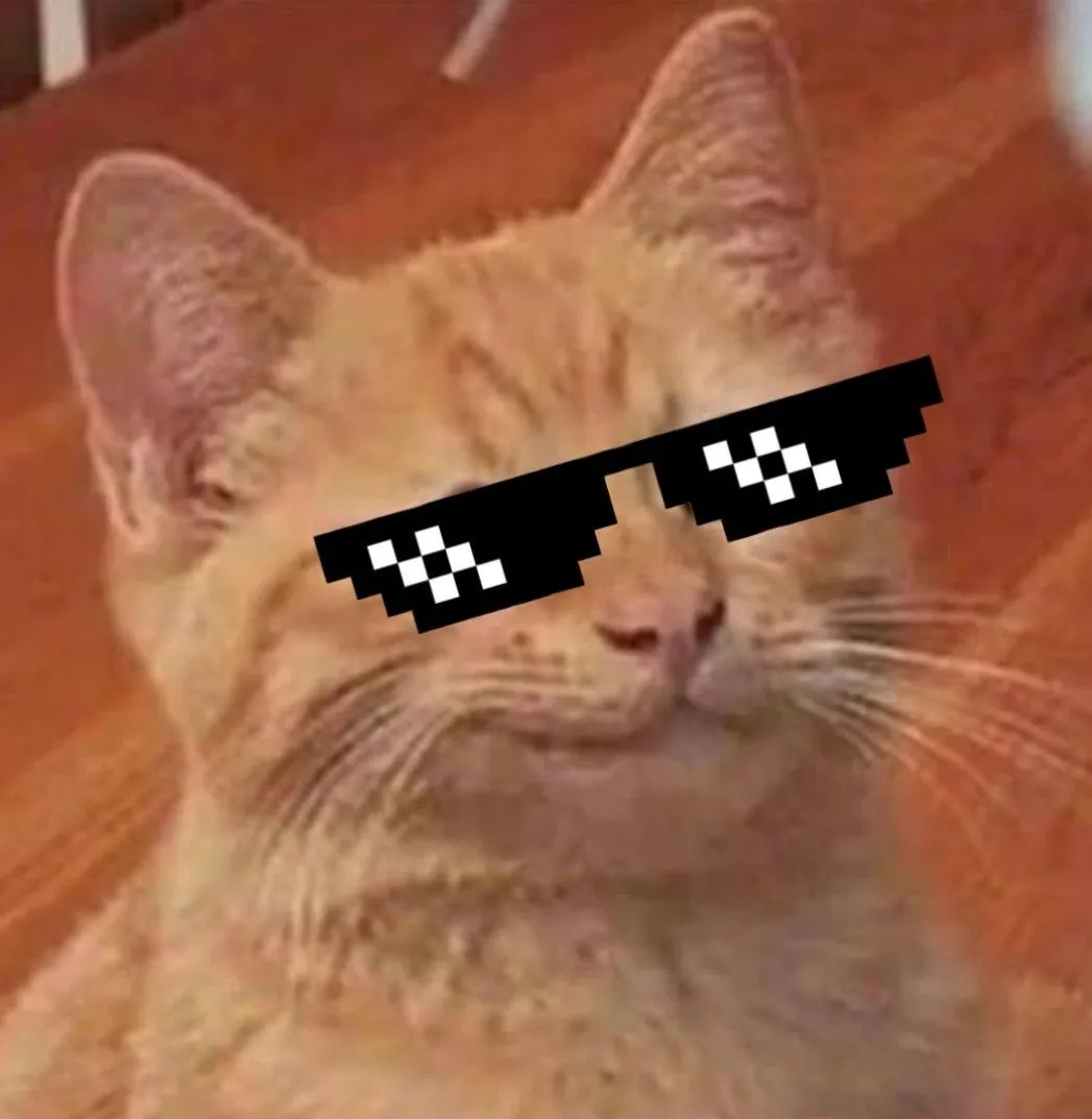 Kumpulan Gambar DP WA Keren Terbaru Terbagus dan Terlengkap 7 Gambar DP WA Keren Terbaru