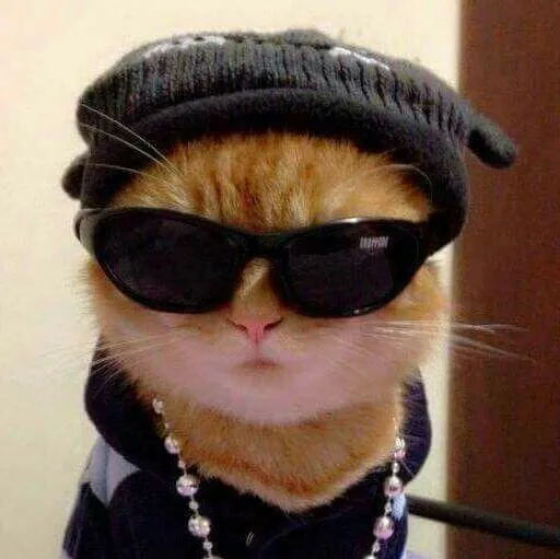 Kumpulan Gambar DP WA Keren Terbaru Terbagus dan Terlengkap 26 Gambar DP WA Keren Terbaru