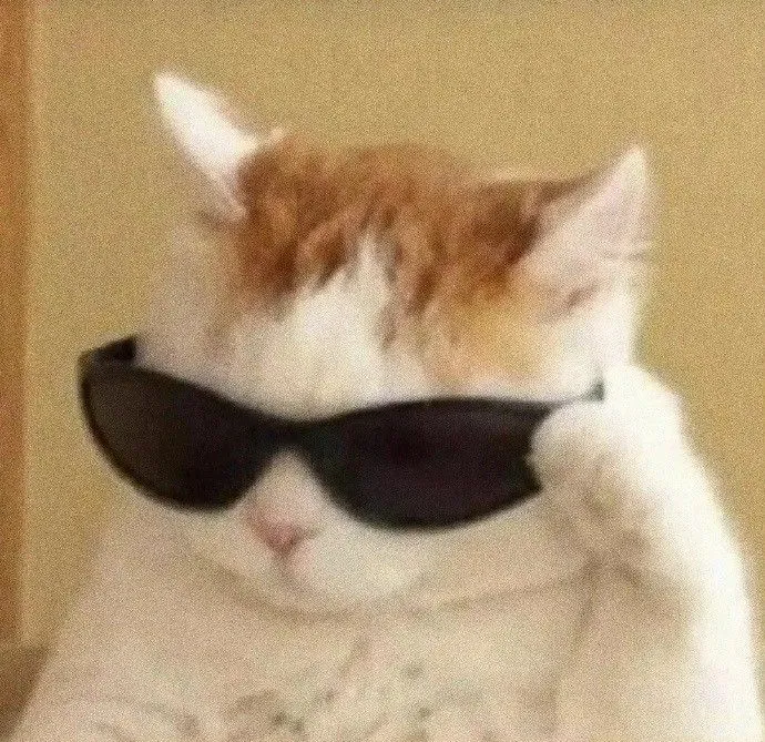 Kumpulan Gambar DP WA Keren Terbaru Terbagus dan Terlengkap 25 Gambar DP WA Keren Terbaru