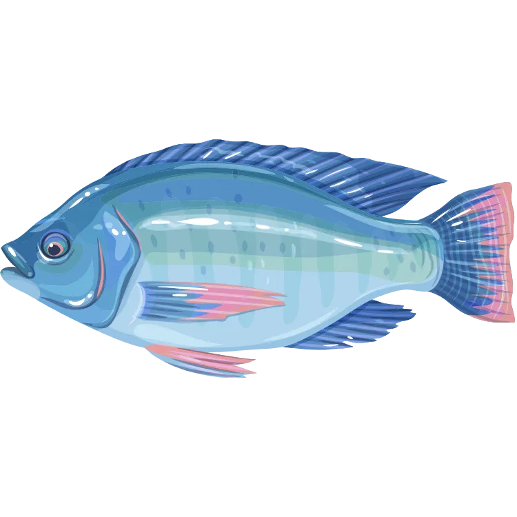 Kumpulan Gambar Ikan Kartun Paling Bagus dan Terlengkap 7 Gambar Ikan Kartun