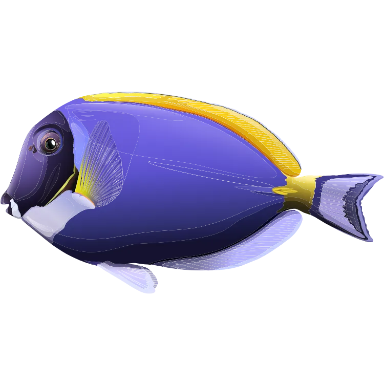 Kumpulan Gambar Ikan Kartun Paling Bagus dan Terlengkap 3 Gambar Ikan Kartun