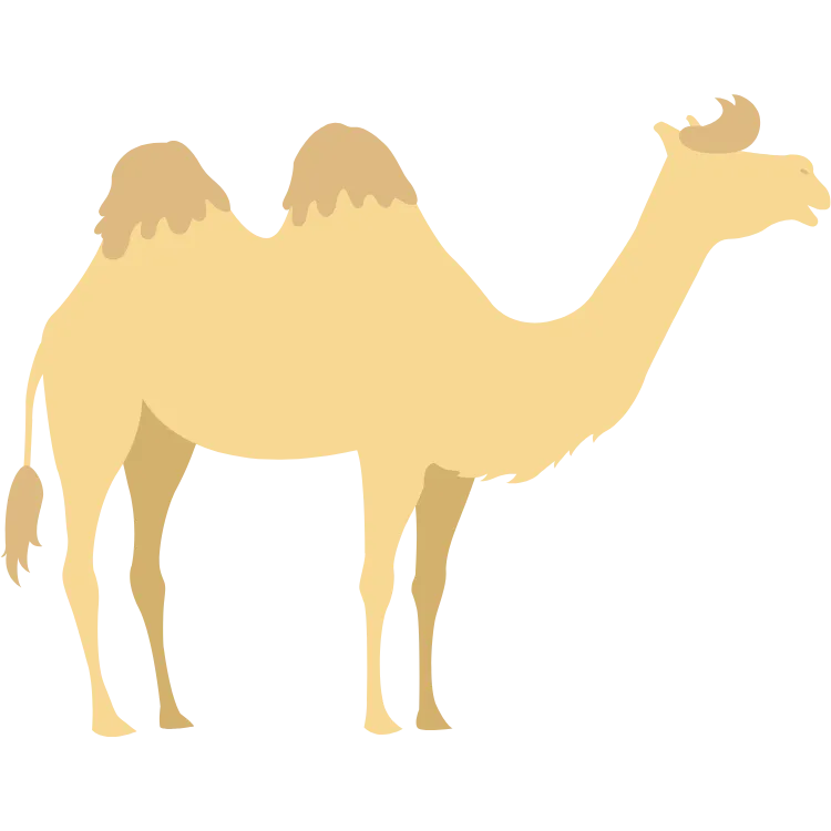 Kumpulan Gambar Unta Kartun Paling Bagus dan Terlengkap 20 Gambar Unta Kartun