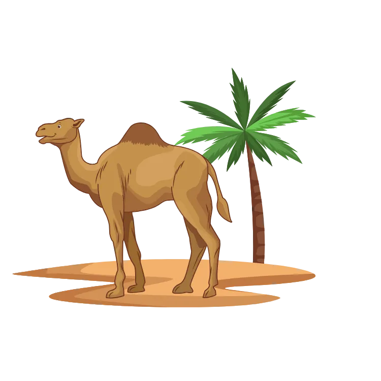 Kumpulan Gambar Unta Kartun Paling Bagus dan Terlengkap 18 Gambar Unta Kartun